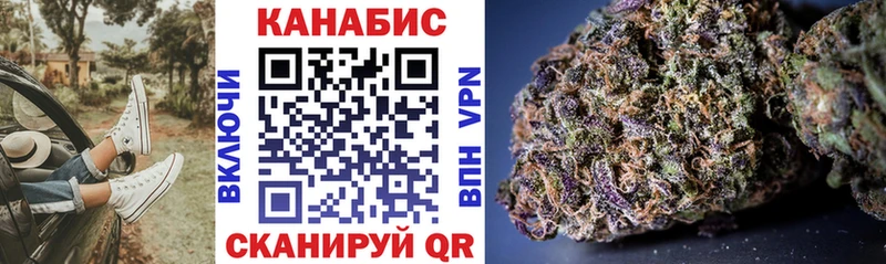 купить наркотики сайты  Шарья  Каннабис сатива 